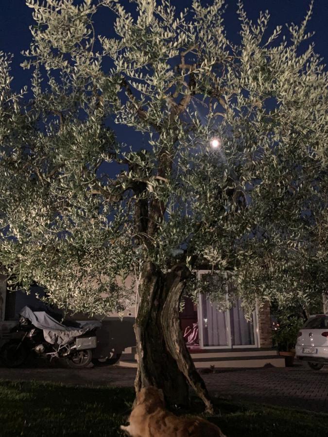 Locazione Turistica Casa Olivo Leilighet Fucecchio Eksteriør bilde