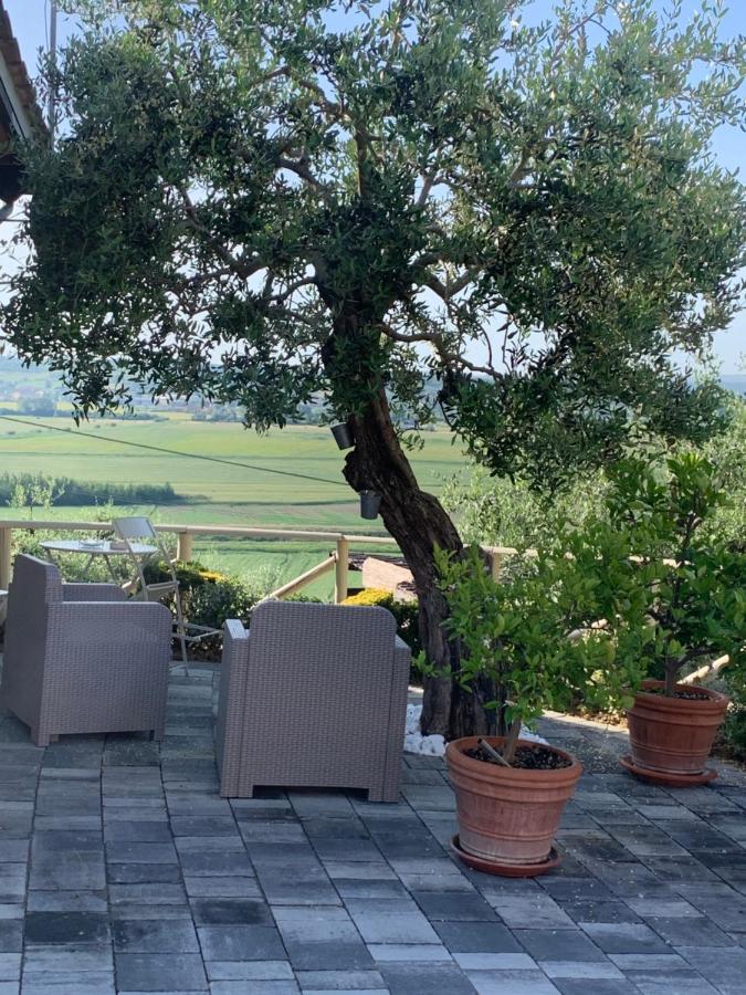 Locazione Turistica Casa Olivo Leilighet Fucecchio Eksteriør bilde